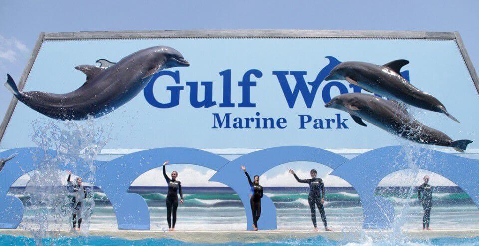 Privacy - Gulf World Marine Park