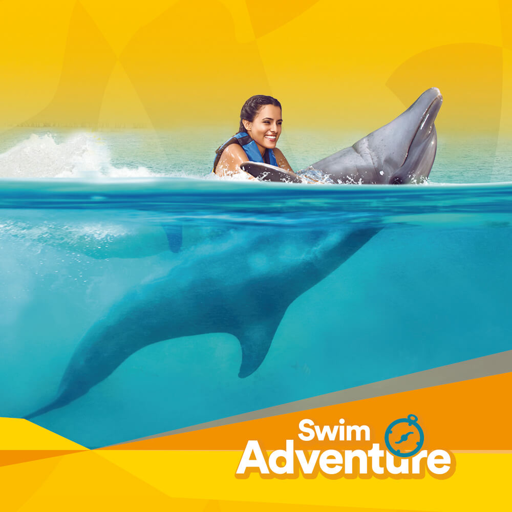 All-inclusive Experiences - Swim with Dolphins