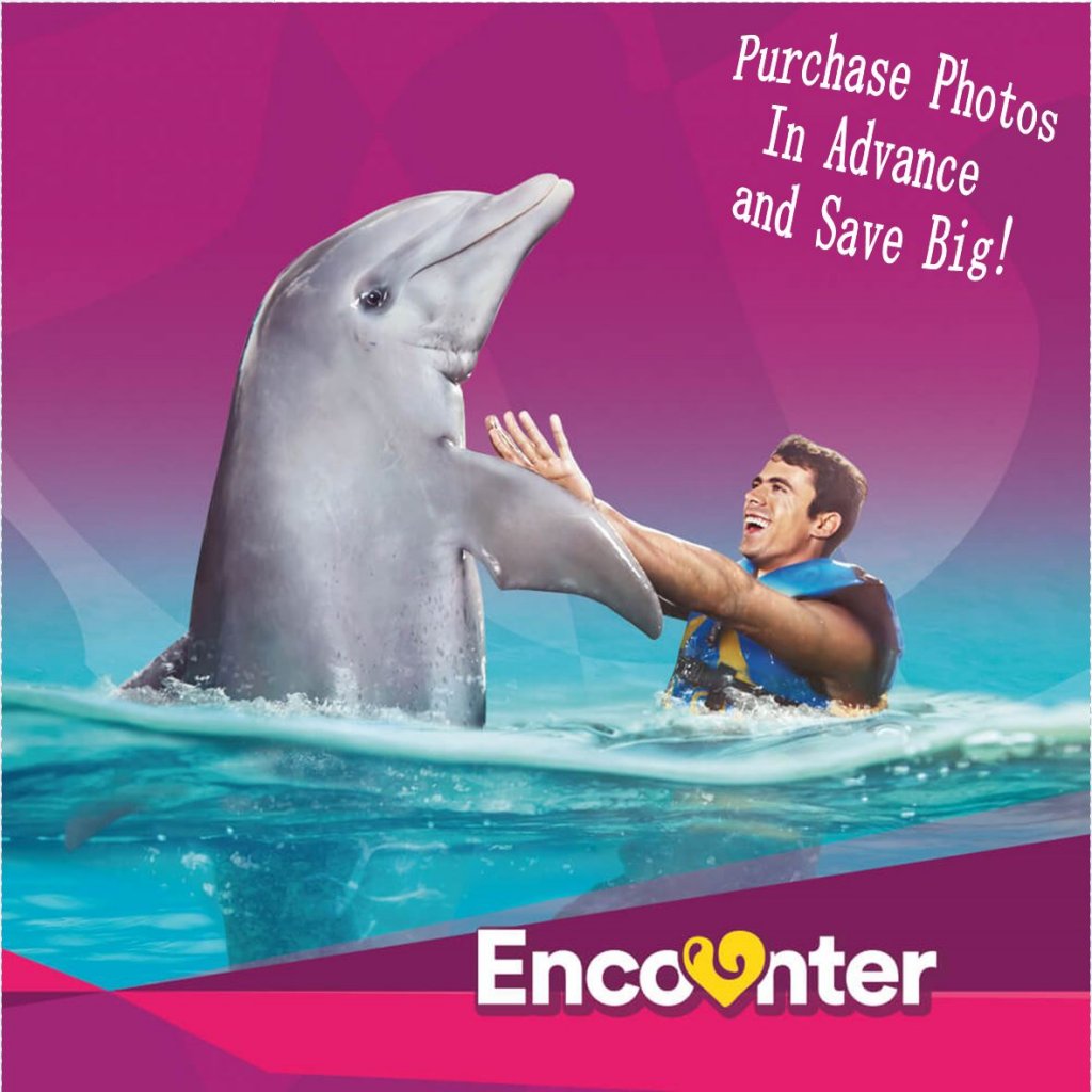 Man swimming with Bottlenose Dolphin