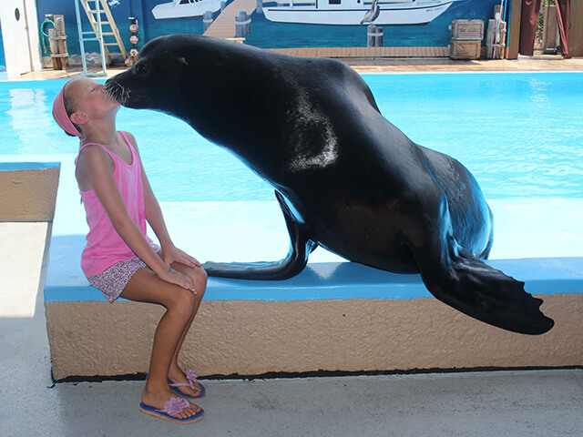 Love Our Locals Gulf World Marine Park