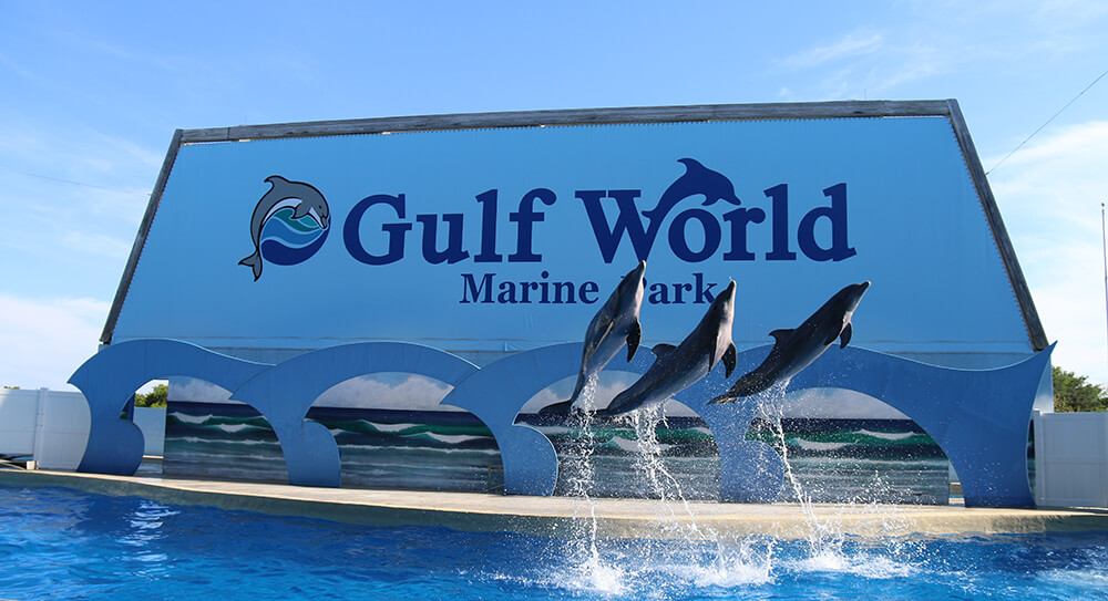 (c) Gulfworldmarinepark.com