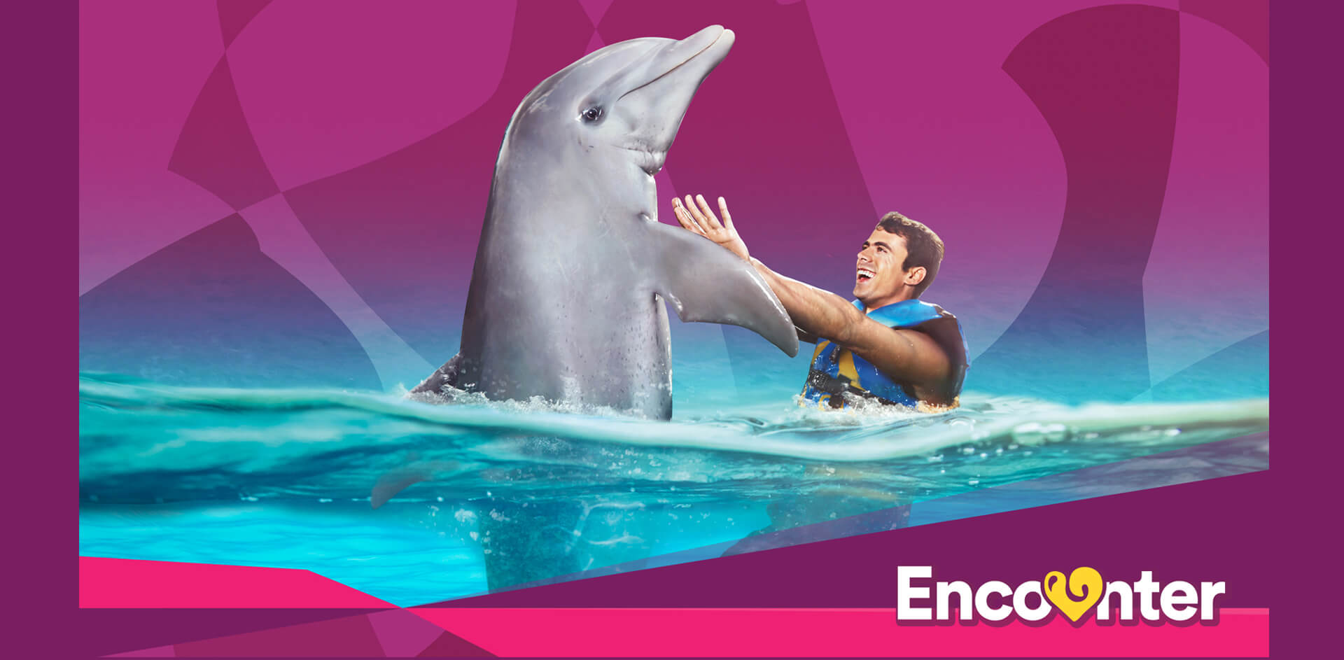 Dolphin Encounter Gulf World Marine Park Dolphin Encounter Gulf World Marine Park